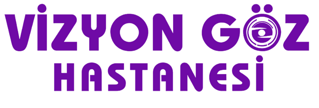 Vizyon Göz Logo